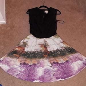 Brand new never worn scenic skirt dress.